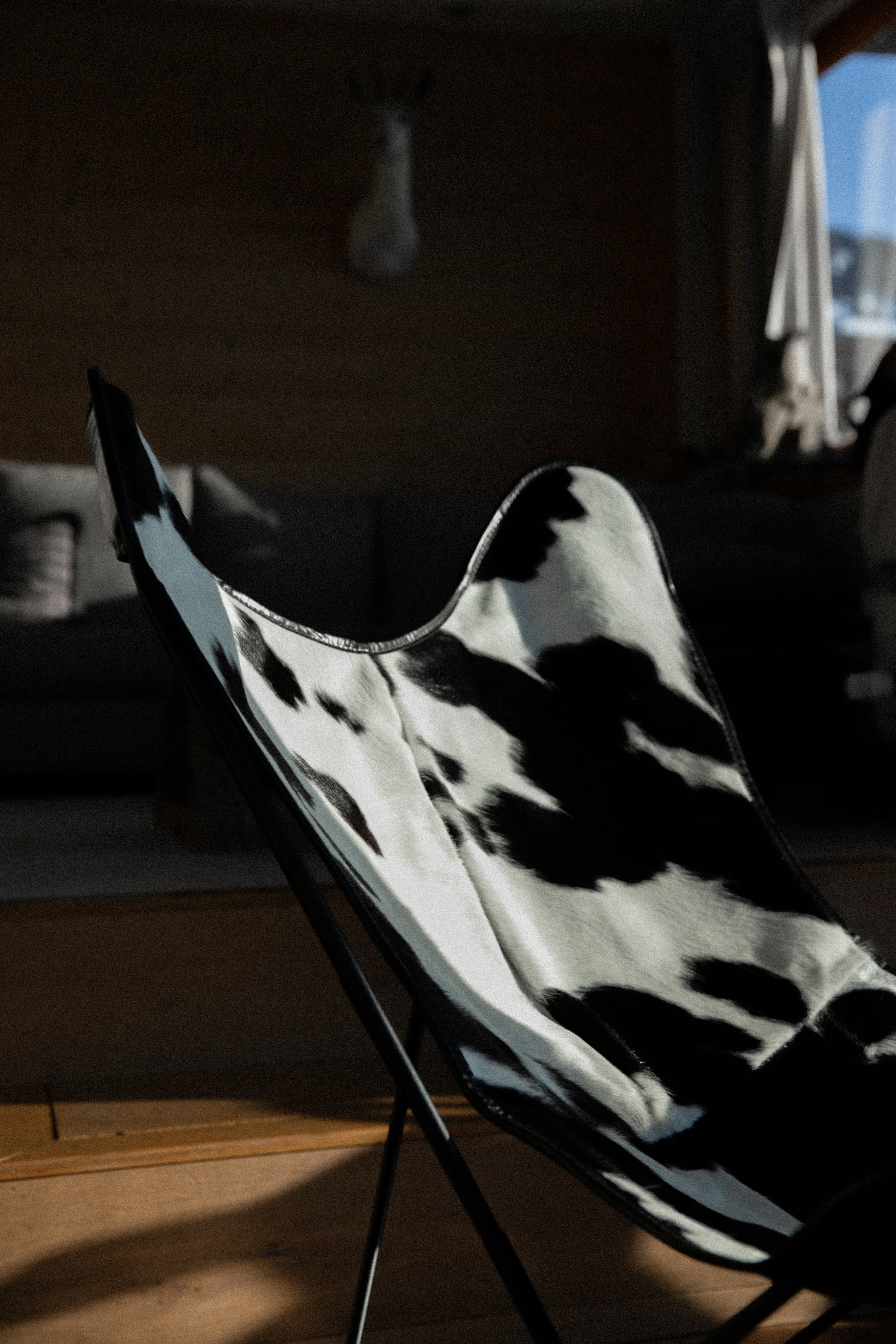 Fauteuil Papillon Cuir -  Structure Noire - Zoom sur la housse en peau de vache noire et blanche